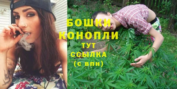 СК Бронницы