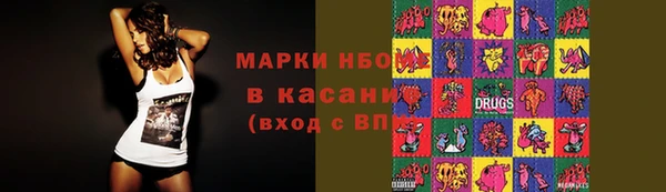 СК Бронницы