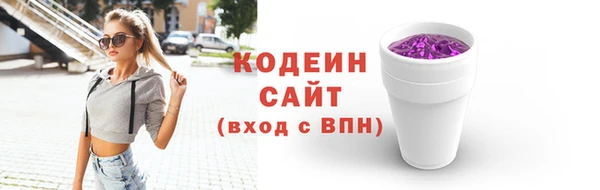 СК Бронницы