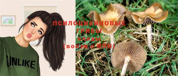 метадон Бородино