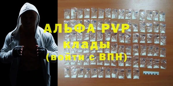 СК Бронницы