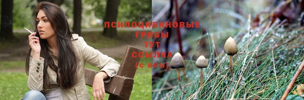 СК Бронницы