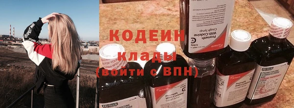 СК Бронницы