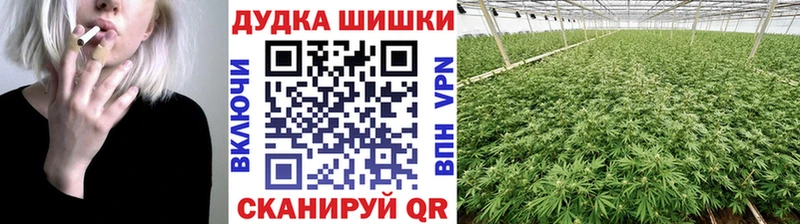 Шишки марихуана LSD WEED  Шилка 